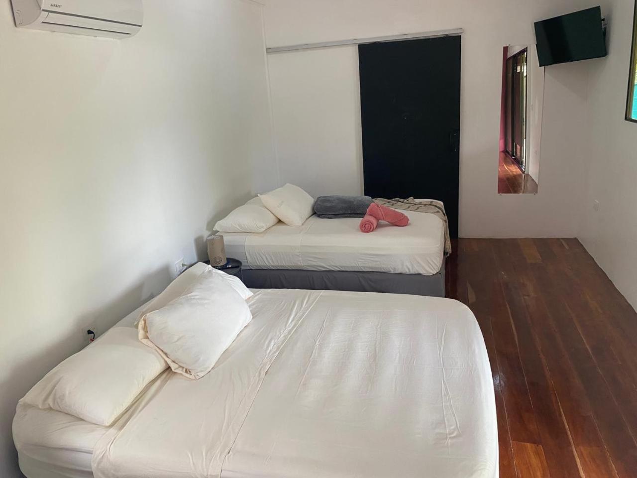 Nest Containers Homes Cahuita